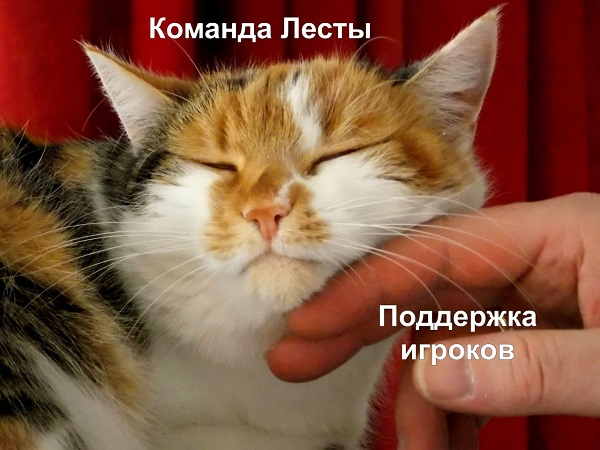 «Продолжаем держать курс на крутые обновления»: создатели «Мира танков» и «Мира кораблей» нацелены обжаловать решение суда «Продолжаем держать курс на крутые обновления»: создатели «Мира танков» и «Мира кораблей» нацелены обжаловать решение суда