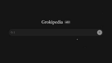 Grokipedia Илона Маска основывается на сомнительных источниках, заявили учёные